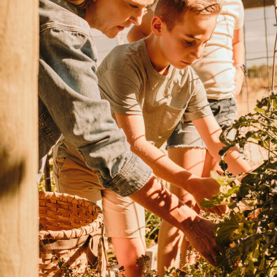 gather garden at Kindred Oak Farm